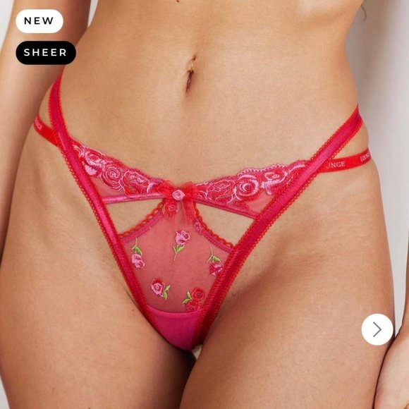 BNWT Lounge Underwear Blush Embroidered Thong Size S & M Red Lace Mesh Panties - Picture 1 of 4